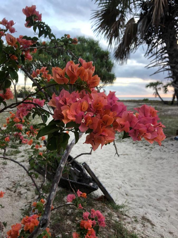 Emayani Beach Lodge Pangani Dış mekan fotoğraf
